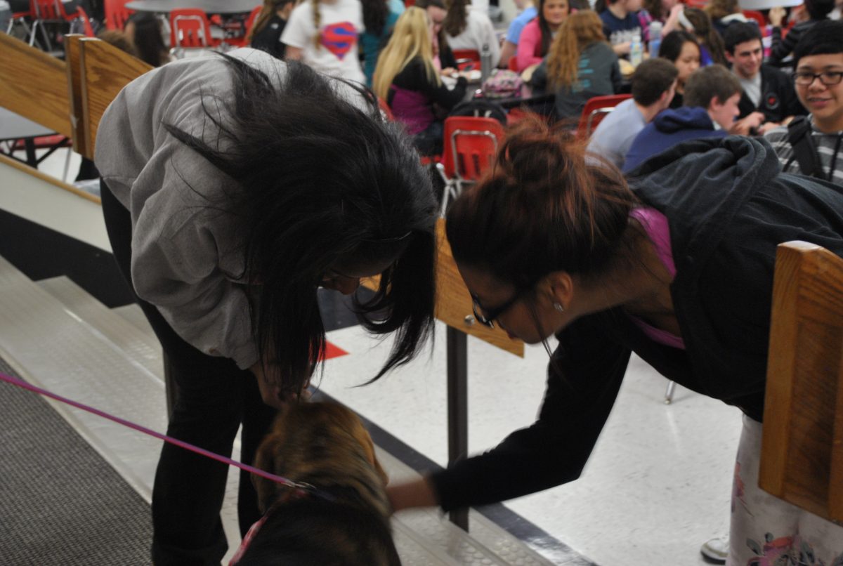 Senior Alyssa Booker and junior Rae Walton pet Gabe, a dog from the Animal Protective Association. The APA brought Gabe and a cat named Nina to lunch to help support Project Helps Canines and Critters charity promotion. Photo by Austin Dubinsky.