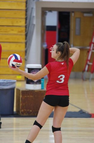 Volleyball Seeks Victory