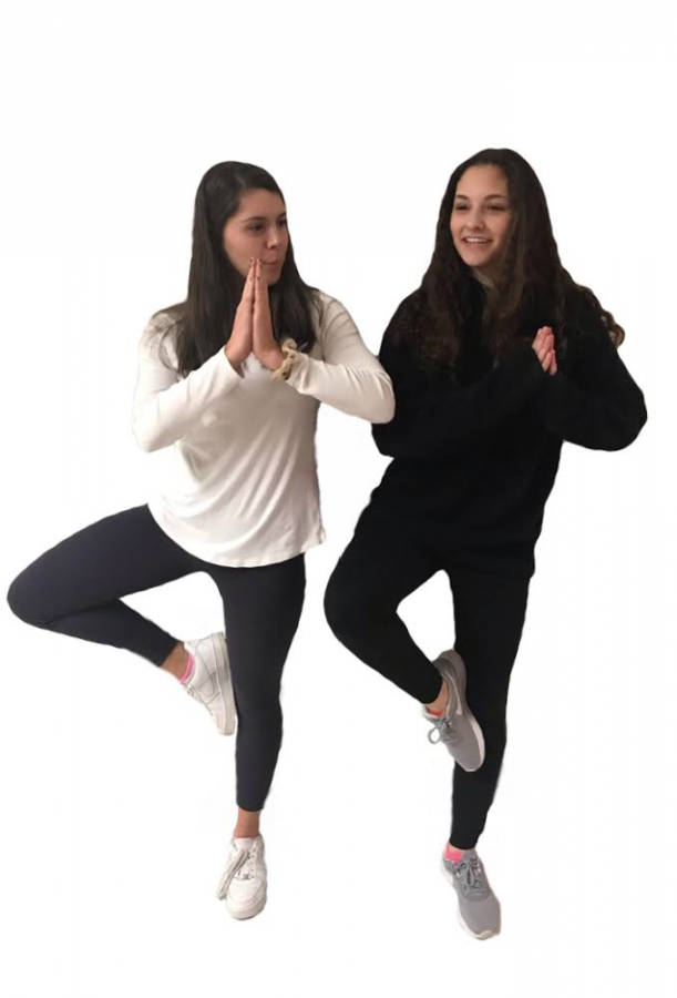 Sophomores Margaux Eubank and Julia Solomon practice the tree pose. Photo by Gabby Abowitz.