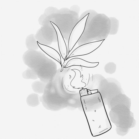 MISSOURI'S MARIJUANA DEBATE