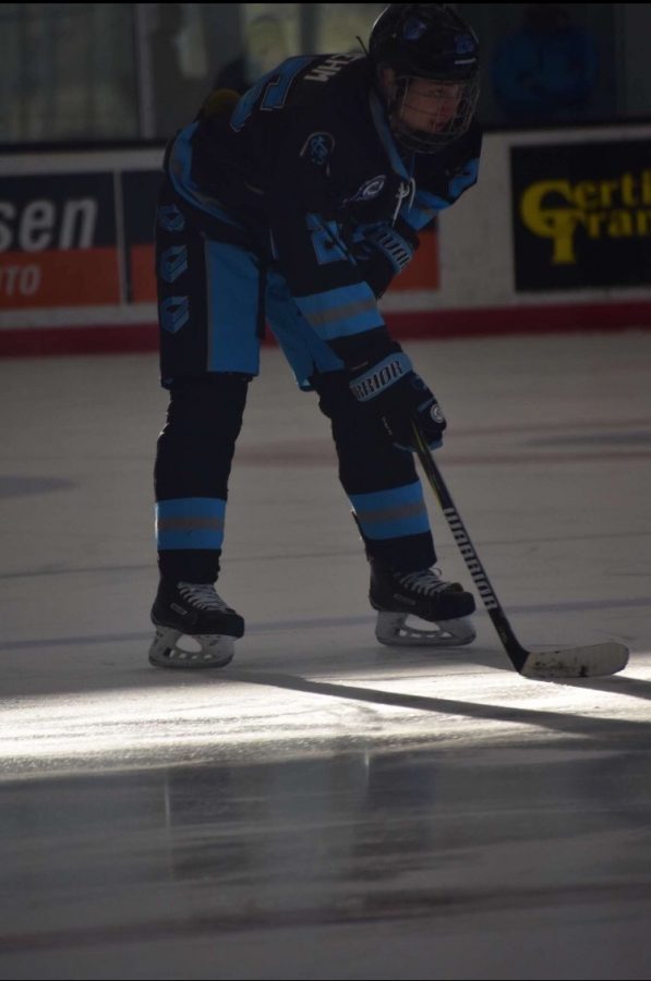 junior Sean Boehm readies for faceoff with his club team, the CarShield AAA Hockey Club