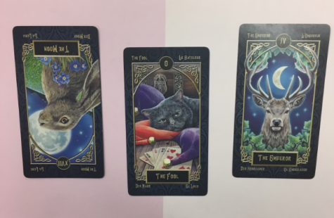 Tarot Prediction - Month of November