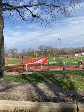 Picture of the new turf. Photo by Adam Booker