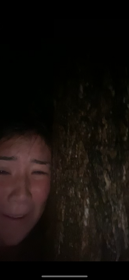 Cat Ke holding on to a tree while waiting to be rescued. 