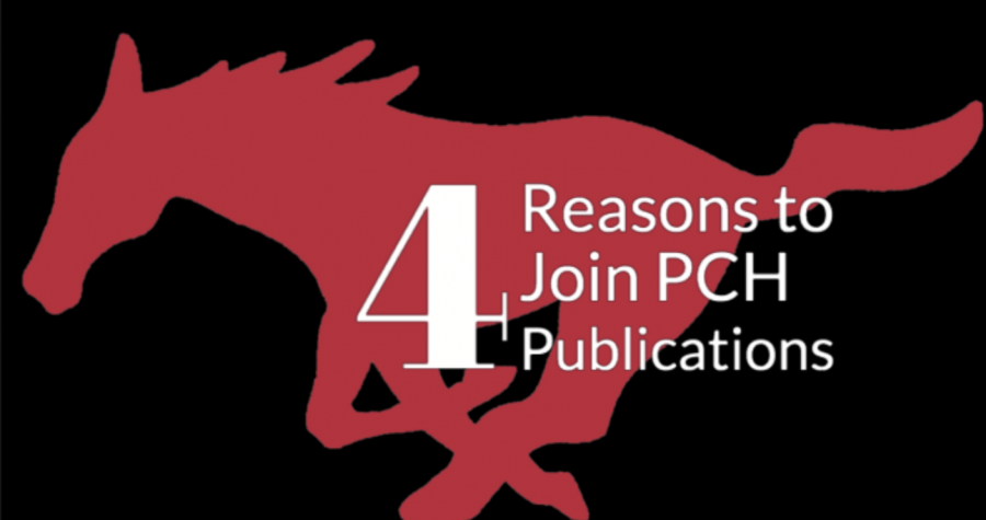 4 Reasons to Join PCH Publications in 4 minutes