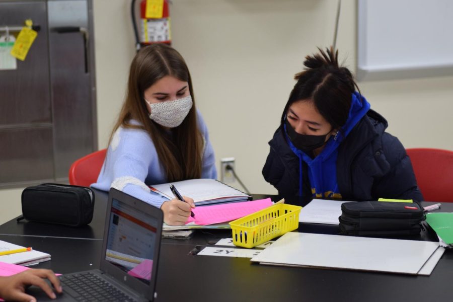 Nina Buzzotta (11) and Sidney Tran (11) work through problems in Beth Karfs AP Chem class on Jan. 27. 