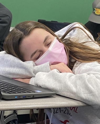 Portia LeFebvre snoozes at her desk, catching up on some much-needed sleep. This photo was posted to pch.naps on Instagram on Nov. 9, 2021.