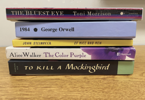 Books that have been called controversial. From bottom to top: “To Kill A Mockingbird” by Harper Lee, “The Color Purple” by Alice Walker, “Of Mice And Men” by John Steinbeck, “1984” by George Orwell and “The Bluest Eye” by Toni Morrison. 