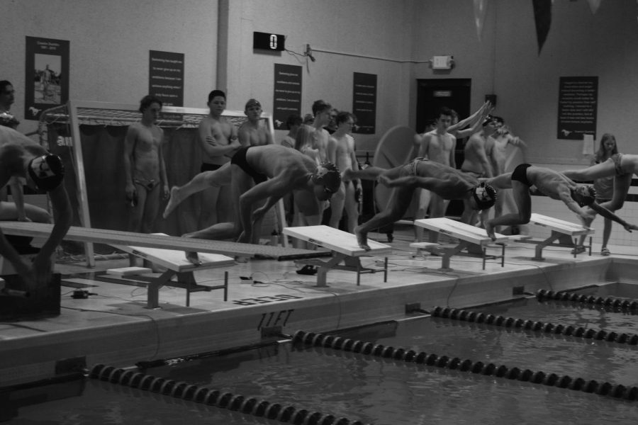 Boys swim team dives into the water during a meet. 
