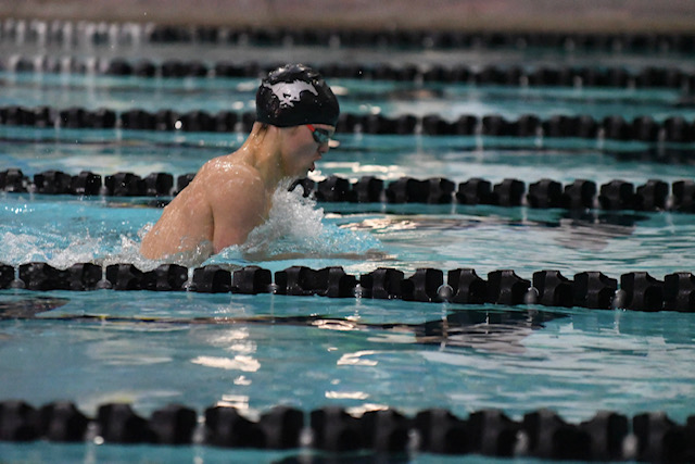 Jake Hansen swims the breaststroke at the state championships Nov. 11. .