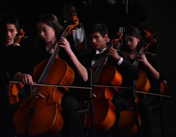 On Dec. 12, Dilara Goshtaiy, Kavin Alwis and Lucia Hernandez perform on the cello as part of the Parkway Central orchestra and choir Masterworks Concert at Pattonville High School. 
