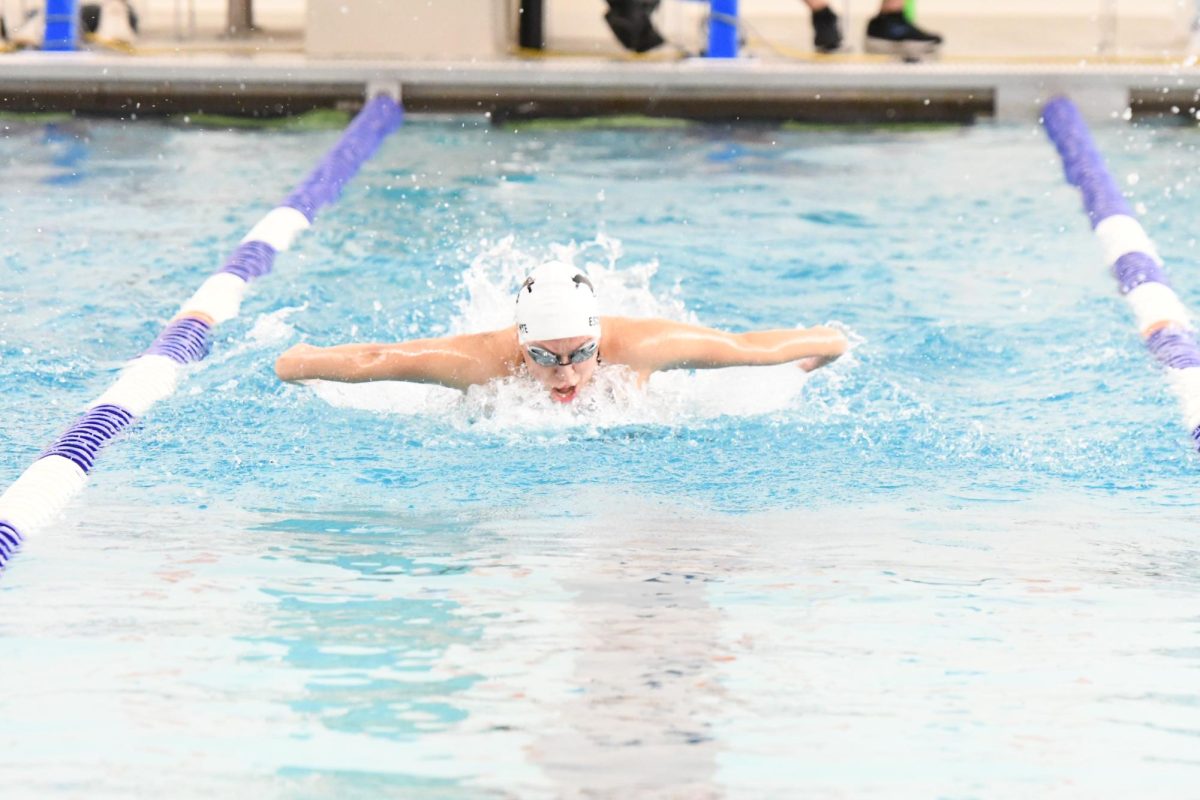 Senior Celeste Escalante, swims towards the end of the lane at the conference meet at Clayton. “Practices were pretty rigorous on my end every now and then, and the hardest part of it was having to wake up at 4:30 for morning practices,” Escalante said. 