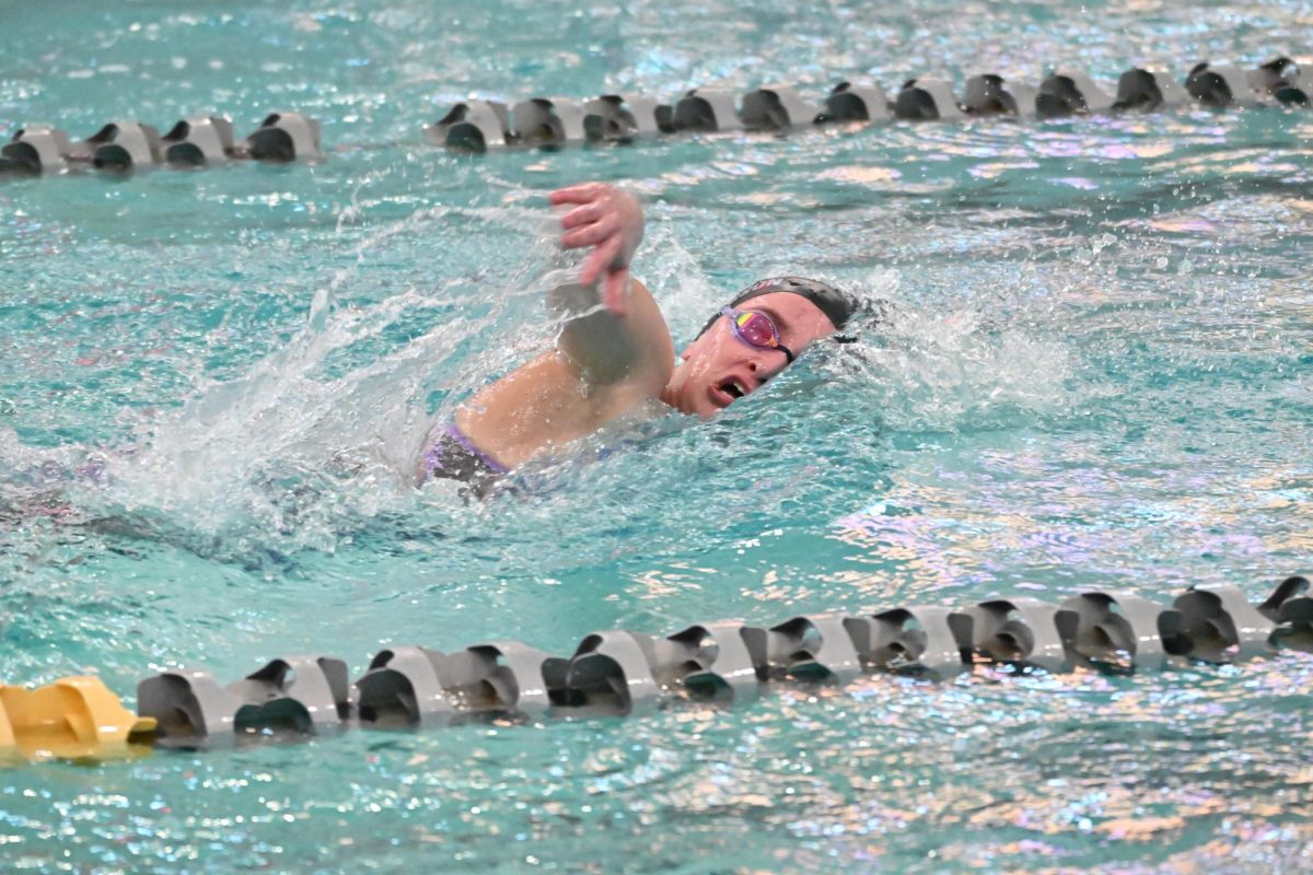 Junior Sophia Lundry swims inthe state meet on Feb. 15. 