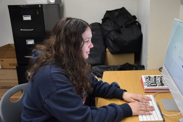 Senior Stella Hadjukiewicz attempts to open Naviance but got stuck at the confusing login. Photo courtesy of Sasha Smith.