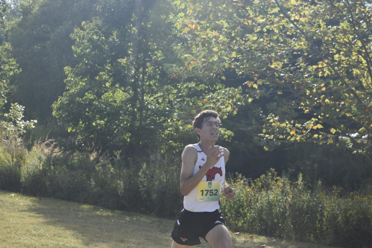 Senior Brendan Alfonso approaches the finish line at the Forest Park XC Festival on Sept. 14.  Alfonso ran a 15:41.1, breaking the school 5K record.