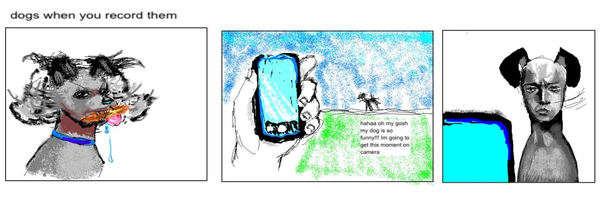 Graphic by Hannah Bierman